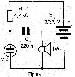 Figura 1 