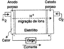 Figura 1 