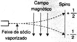 Figura 3 