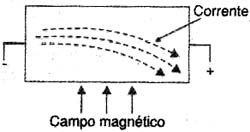 Figura 5 