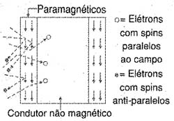 Figura 7 