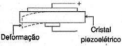 Figura 1 