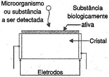 Figura 3 