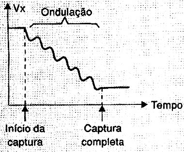 O processo de captura.
O processo de captura.