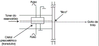 Figura 2 