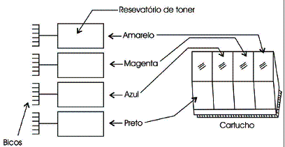 Figura 3 