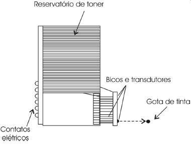 Figura 4 