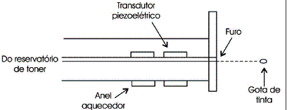 Figura 5 