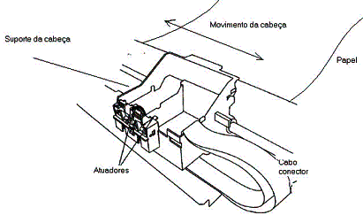 Figura 14 