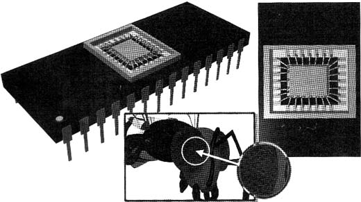 Sensor de transferência de quadro: seu formato se assemelha a uma EPROM.
Sensor de transferência de quadro: seu formato se assemelha a uma EPROM.