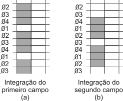 Produções dos campos.
