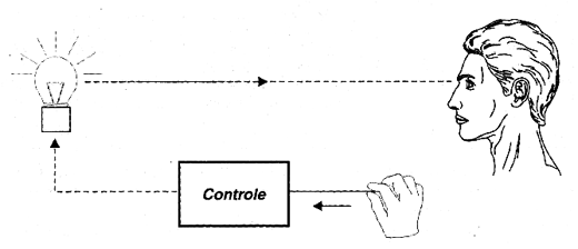 Figura 2 - Biofeedback usando a pressão dos dedos
