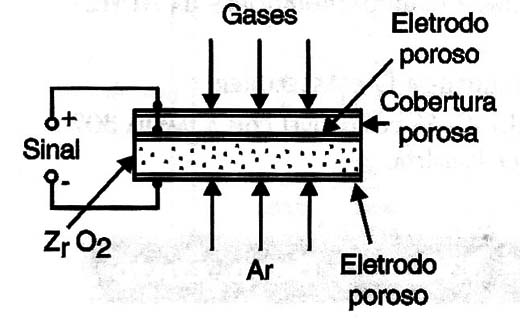 Figura 3 – Sensor de óxido de zircônio
