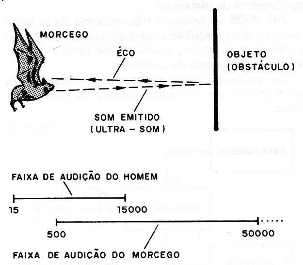 Figura 1 – O sistema de sonar do morcego
Figura 1 – O sistema de sonar do morcego