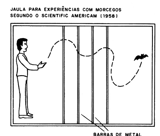 Figura 3 – Experimentando o sonar do morcego
Figura 3 – Experimentando o sonar do morcego