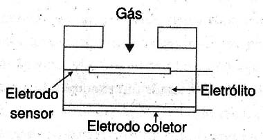 Figura 2
Figura 2
