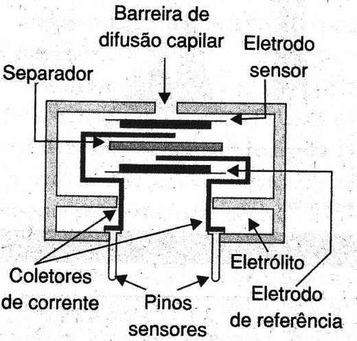 Figura 4
Figura 4