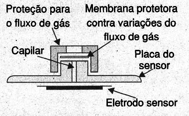 Figura 11
Figura 11