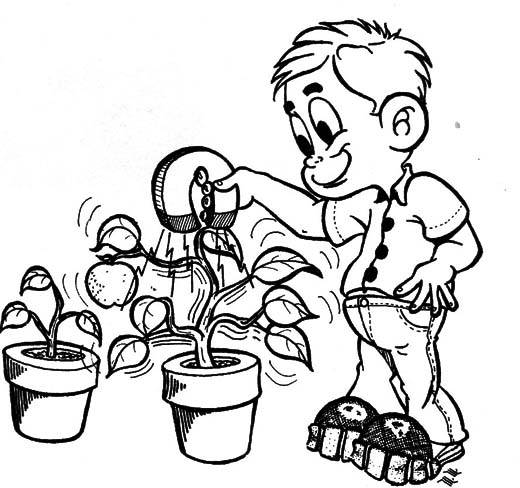 Figura 1 – Magnetismo influenciando o crescimento de plantas
Figura 1 – Magnetismo influenciando o crescimento de plantas