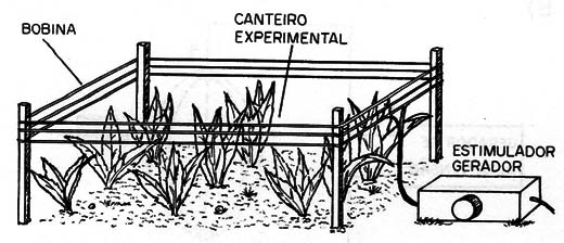 Figura 2 – Aplicando campos a plantas
