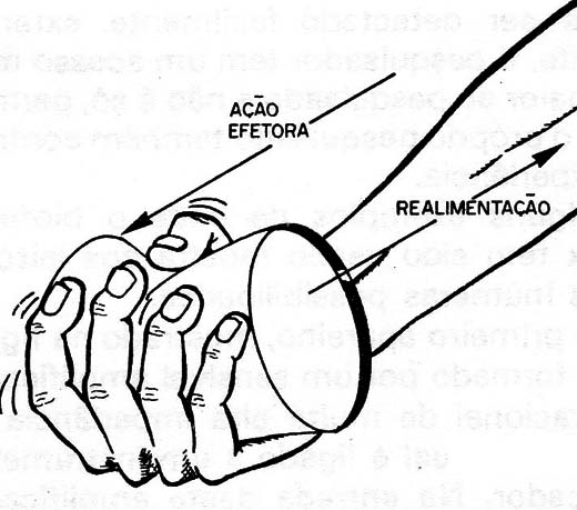 Figura 3 – o funcionamento do músculo

