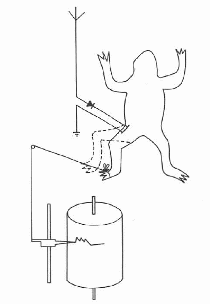 Figura 1 – Detector de perna de rã
Figura 1 – Detector de perna de rã