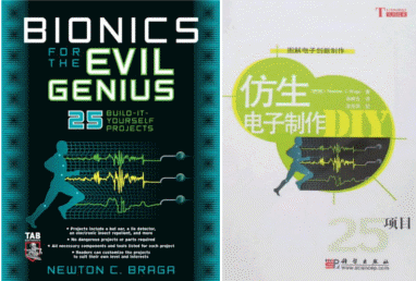 Figura 7 - Livros em inglês e chinês em que o projeto também foi publicado
