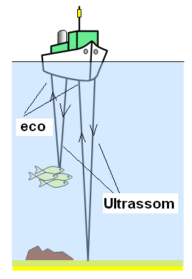 Figura 222 – O ecobatímetro
