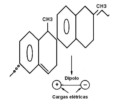 Uma molécula orgânica que forma um dipolo natural
