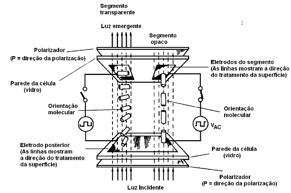 Estrutura de um mostrador de cristal líquido
