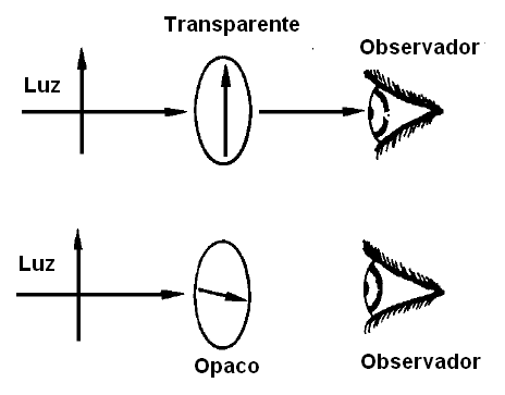 Olhando através de um filtro polarizador
