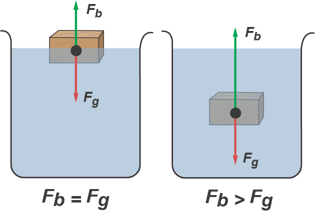 Figura 1 – se o peso é menor que o empuxo o corpo flutua, se maior que o empuxo ele afunda.
