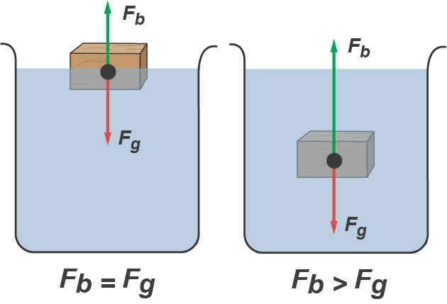 Figura 1 – se o peso é menor que o empuxo o corpo flutua, se maior que o empuxo ele afunda.
Figura 1 – se o peso é menor que o empuxo o corpo flutua, se maior que o empuxo ele afunda.