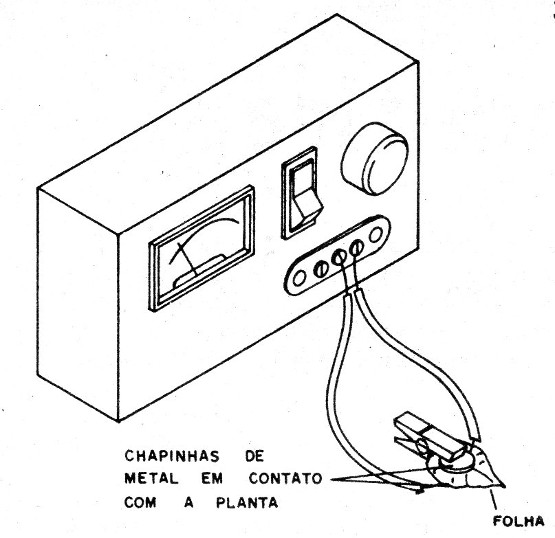 Figura 3 – Detectando atividade elétrica de plantas
Figura 3 – Detectando atividade elétrica de plantas