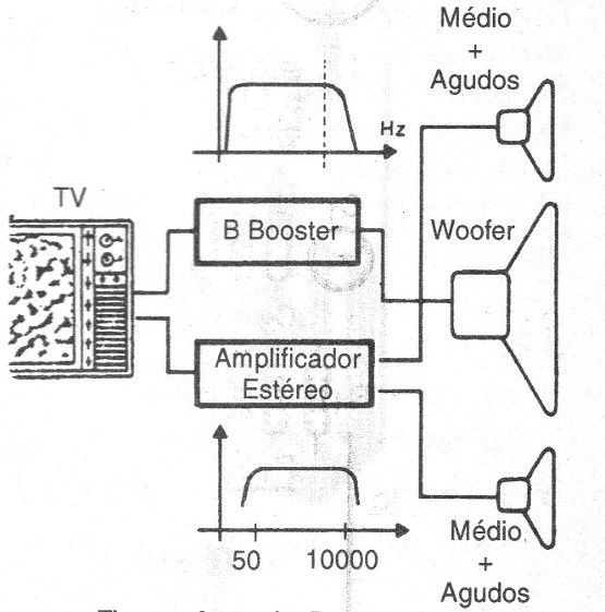 Figura 2 – O sistema e as curvas de reprodução
Figura 2 – O sistema e as curvas de reprodução