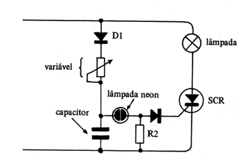 Figura 1
