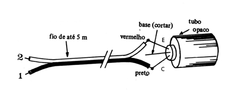 Figura 11
Figura 11