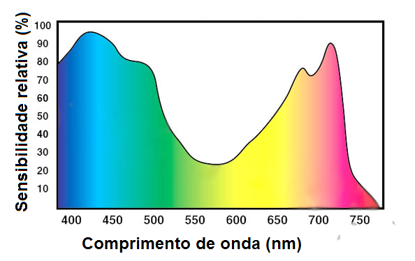 Figura 2 – Espectro de absorção típico de uma planta
Figura 2 – Espectro de absorção típico de uma planta