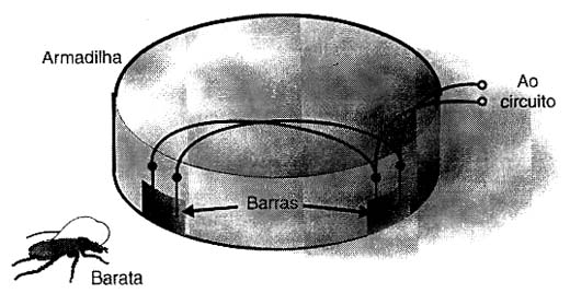 O circuito mata-baratas O circuito mata-baratas