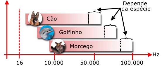 Faixas audíveis de alarmes para animais.