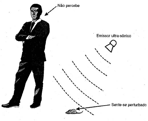 Ultrassons podem perturbar certos animais. Ultrassons podem perturbar certos animais.