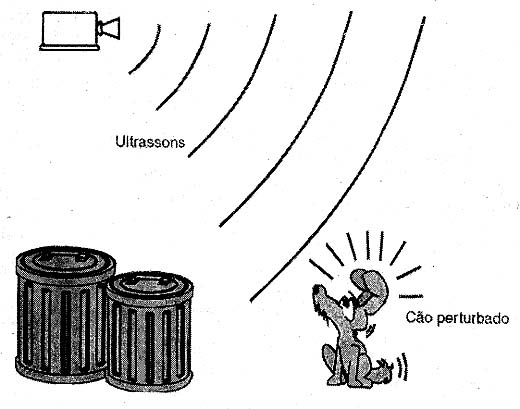 Ultrassons podem manter cães e gatos afastados de latas de lixo.