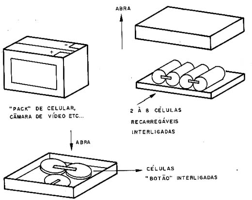 Tipos de células encontradas nos packs. 