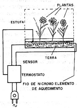 Uso do termostato numa estufa para as plantas Uso do termostato numa estufa para as plantas
