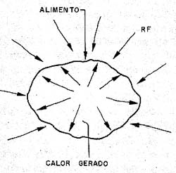 Num forno de microondas o calor gerado no próprio alimento. Num forno de microondas o calor gerado no próprio alimento.