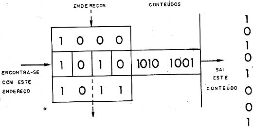 Organização de uma memória. Organização de uma memória.