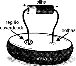 Indicador de polaridade usando uma batata. 