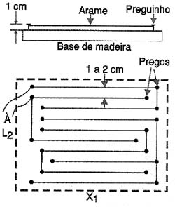 Armadilha sobre plataforma de madeira. Armadilha sobre plataforma de madeira.