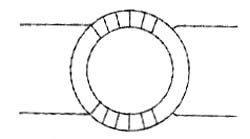 Representação do núcleo toroidal. Representação do núcleo toroidal.