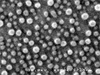 Estrutura da memória de nanocristal de silício da Freescale vista no microscópio eletrônico.
Estrutura da memória de nanocristal de silício da Freescale vista no microscópio eletrônico.